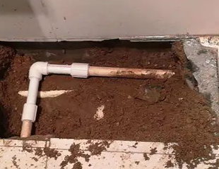 遵义测漏水哪家好